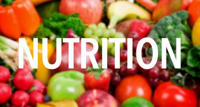 b sc nutrition & dietetics courses